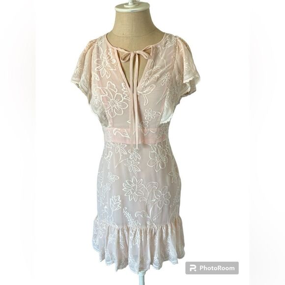 NWOT Parker Blush Lace Dress - Picture 1 of 3